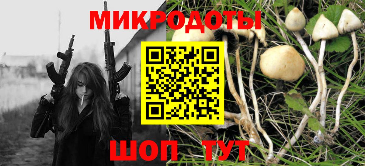 Галлюциногенные грибы MAGIC MUSHROOMS  Вход с VPN  Псилоцибиновые грибы Magic Shrooms  Северск 